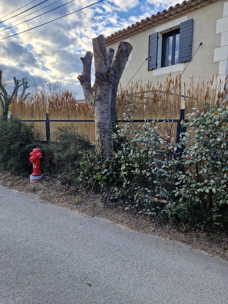 PANNEAU de CLOTURE "NATURE",  h 2.00 x 2.40