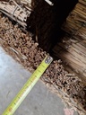 PANNEAU DE ROSEAUX ep 2.5 cm
